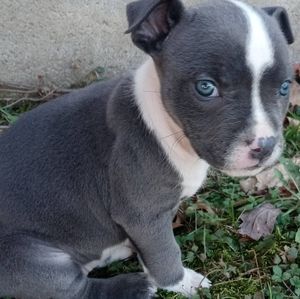 Free lance photographer